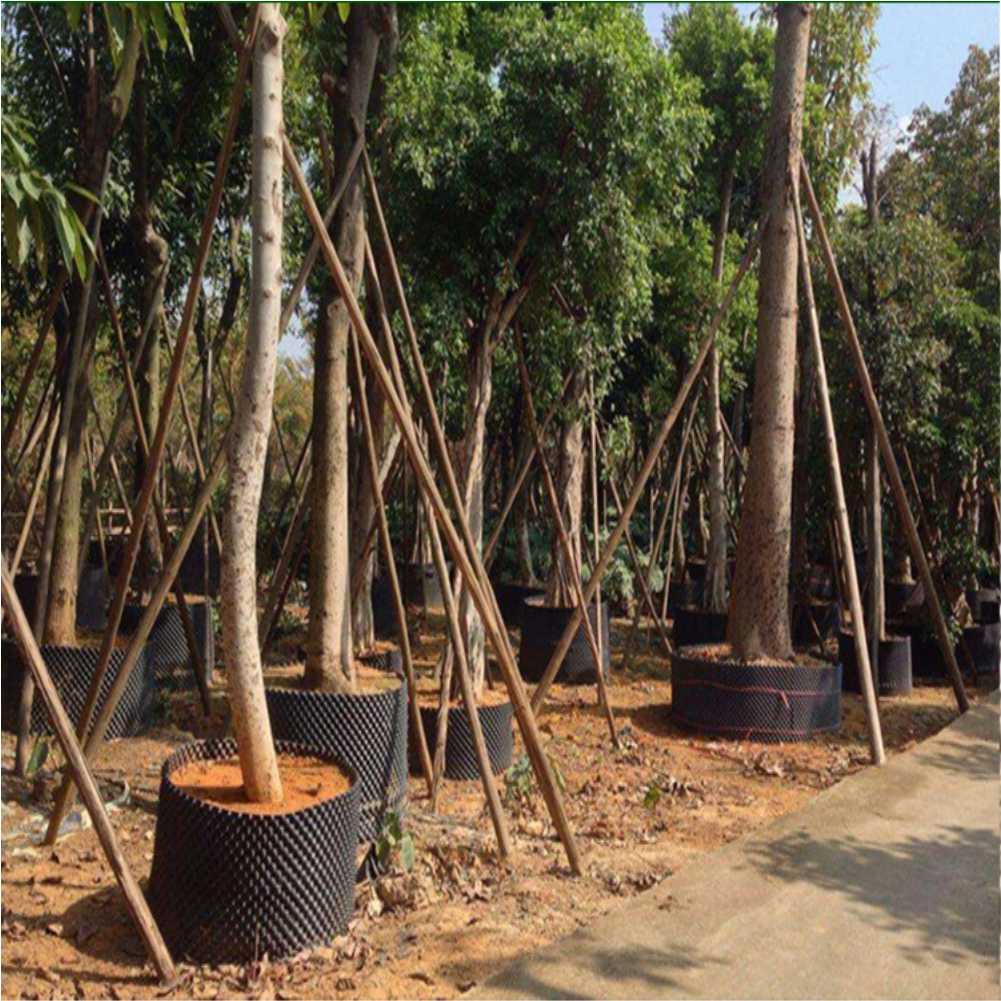 Bonsai Dikim Aleti Hızlı Fidan - Outdoor Furniture incelemesi ve fiyatı
